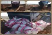 معدوم سازی بیش از 4000 کیلوگرم خوراک دام و طیور در شهرستان کرمانشاه