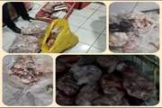 کشف و امحاء بیش از 850 کیلوگرم گوشت و آلایش غیر قابل مصرف در شهرستان کرمانشاه