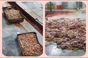 400 قطعه مرغ غیر قابل مصرف انسانی به وزن ۱۰۰۰ کیلو گرم با هوشیاری مسئول فنی مستقر در کشتارگاه از چرخه مصرف انسانی خارج شد.