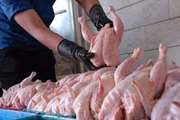 ضبط 530 کیلوگرم مرغ به دلیل عدم انطباق با شرایط بهداشتی و قرنطینه ای دامپزشکی در شهرستان روانسر