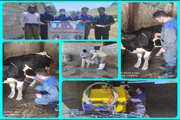 در راستای خدمت رسانی به مناطق محروم و کم برخوردار شهرستان سرپل ذهاب