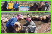 در راستای خدمت رسانی به مناطق محروم و کم برخوردار شهرستان گیلانغرب 