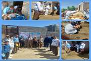 برگزاری اردوهای جهادی دامپزشکی در راستای خدمت رسانی به مناطق محروم و کم برخوردار شهرستان جوانرود 
