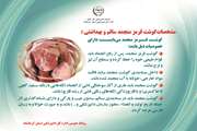مشخصات گوشت قرمز منجمد سالم