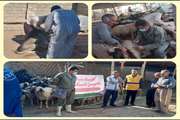 برگزاری اردوهای جهادی دامپزشکی  در راستای خدمت رسانی به مناطق محروم و کم برخوردار شهرستان گیلانغرب 