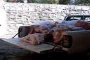 کشف و امحاء بیش از 710 کیلو گرم گوشت و آلایش غیر قابل مصرف در سه روز گذشته در شهرستان کرمانشاه