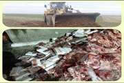 کشف و امحاء بیش از 1100 کیلوگرم گوشت و آلایش غیر قابل مصرف در شهرستان کرمانشاه