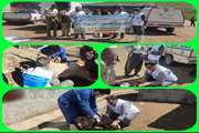 در راستای خدمت رسانی به مناطق محروم و  کم برخوردار شهرستان کرمانشاه