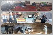 برگزاری  اردوهای جهادی  دامپزشکی در راستای خدمت رسانی به مناطق محروم و کم برخوردار شهرستان دالاهو