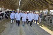  بازدید استاندار کرمانشاه از گاوداری ۵ هزار رأسی ماهیدشت