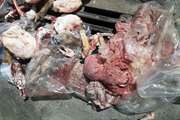 270 کیلوگرم گوشت غیربهداشتی در کرمانشاه کشف و معدوم شد