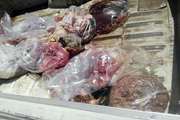 500 کیلوگرم گوشت فاسد دام در کرمانشاه کشف و امحاء شد