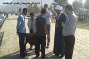 نظارت اداره کل دامپزشکی استان کرمانشاه در عید سعید قربان
