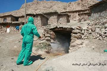 اردوی جهادی خدمات رسانی  رایگان اداره کل دامپزشکی استان کرمانشاه 
