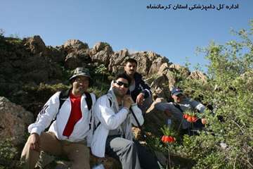 کوهپیمایی کارکنان دامپزشکی کرمانشاه بمناسبت روز جهانی دامپزشکی و هفته سلامت