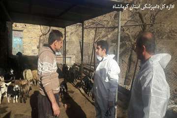 خدمت رسانی رایگان اکیپ های سیار دامپزشکی در روستاهای پاوه