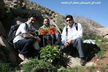 کوهپیمایی کارکنان دامپزشکی کرمانشاه بمناسبت روز جهانی دامپزشکی و هفته سلامت