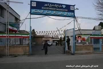اعزام اکیپ دامپزشکی به مناطق محروم استان کرمانشاه