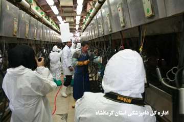 برگزاری تور تخصصی جشنواره بیطار دراستان کرمانشاه 