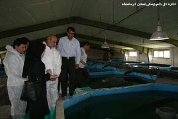 بازدید دکتر خلج از مزارع تکثیر و پرورش ماهیان در استان کرمانشاه