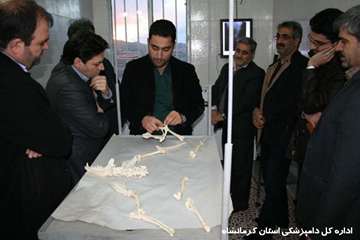 بازدید رئیس سازمان جهاد کشاورزی از بیمارستان دامپزشکی زاگرس کرمانشاه