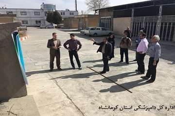 برگزاری مسابقات ورزشی در اداره کل دامپزشکی کرمانشاه به مناسبت دهه فجر