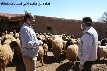 اعزام گروه جهادی بسیج اداره کل دامپزشکی به مناطق روستایی در دهه مبارک فجر