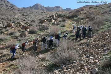 صعود كاركنان دامپزشكي به ارتفاعات دالاخاني ارديبهشت 1392