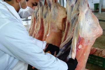 نظارت بهداشتی دامپزشکی