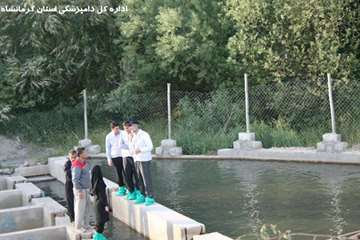 بازدید دکتر خلج از مزارع تکثیر و پرورش ماهیان در استان کرمانشاه