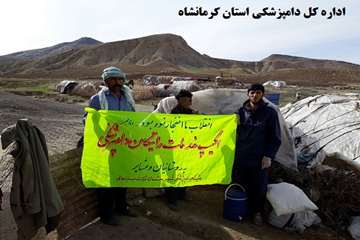 خدمات رسانی رایگان شبکه دامپزشکی ثلاث باباجانی به مناسب ایام الله دهه مبارک فجر