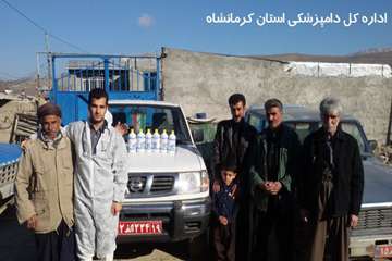 بررسی و واکسیناسیون  دام در شهرستان ثلاث باباجانی
