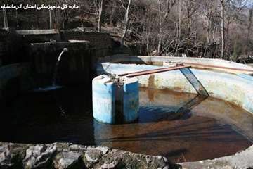 معدوم سازی بچه ماهی مبتلا به vhs
