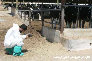 برگزاری تور تخصصی جشنواره بیطار دراستان کرمانشاه 