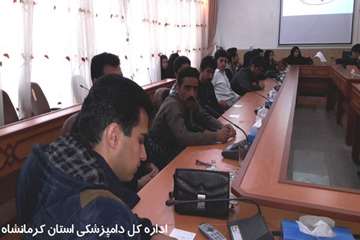 برگزاری کلاس آموزشی تب برفکی توسط شبکه دامپزشکی ثلاث باباجانی