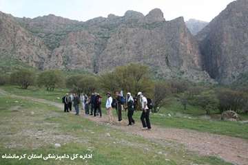کوهپیمایی کارکنان دامپزشکی کرمانشاه بمناسبت روز جهانی دامپزشکی و هفته سلامت