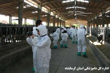 برگزاری تور تخصصی جشنواره بیطار دراستان کرمانشاه 
