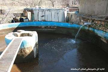 معدوم سازی بچه ماهی مبتلا به vhs