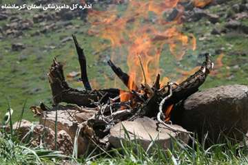 کوهپیمایی کارکنان دامپزشکی کرمانشاه بمناسبت روز جهانی دامپزشکی و هفته سلامت