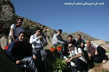 کوهپیمایی کارکنان دامپزشکی کرمانشاه بمناسبت روز جهانی دامپزشکی و هفته سلامت