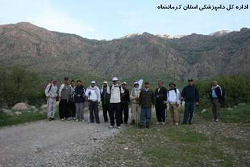 کوهپیمایی کارکنان دامپزشکی کرمانشاه بمناسبت روز جهانی دامپزشکی و هفته سلامت