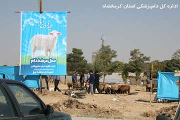 نظارت اداره کل دامپزشکی استان کرمانشاه در عید سعید قربان