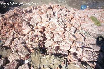 امحاء 56 تن آلایش توسط اداره کل دامپزشکی استان کرمانشاه