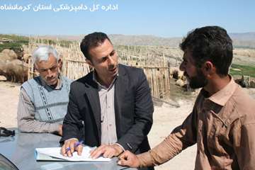 واکسیناسیون علیه بیماری تب برفکی عشایر کرمانشاه