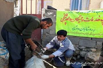 ارائه خدمات رایگان دامپزشکی شهرستان ثلاث باباجانی در روستای محروم زلزله زده