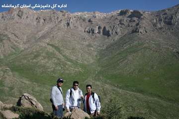 کوهپیمایی کارکنان دامپزشکی کرمانشاه بمناسبت روز جهانی دامپزشکی و هفته سلامت