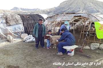 خدمات رسانی رایگان شبکه دامپزشکی ثلاث باباجانی به مناسب ایام الله دهه مبارک فجر
