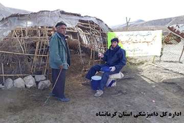 خدمات رسانی رایگان شبکه دامپزشکی ثلاث باباجانی به مناسب ایام الله دهه مبارک فجر