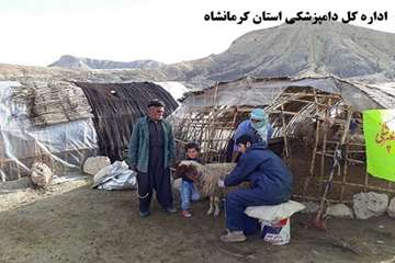 خدمات رسانی رایگان شبکه دامپزشکی ثلاث باباجانی به مناسب ایام الله دهه مبارک فجر