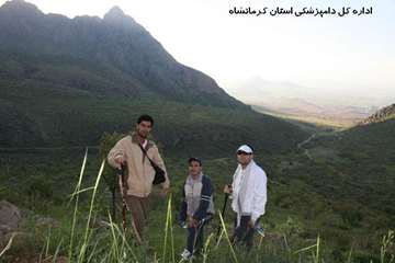 کوهپیمایی کارکنان دامپزشکی کرمانشاه بمناسبت روز جهانی دامپزشکی و هفته سلامت